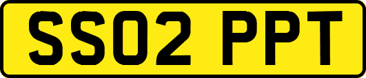 SS02PPT