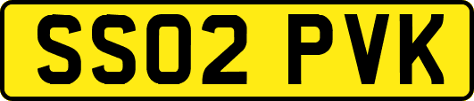 SS02PVK