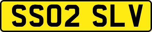 SS02SLV