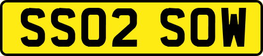 SS02SOW
