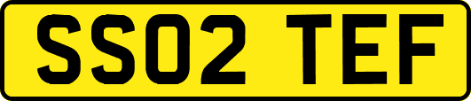 SS02TEF