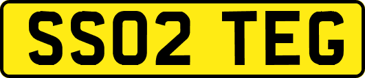 SS02TEG