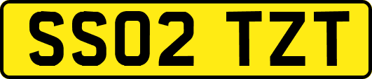 SS02TZT
