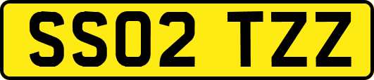 SS02TZZ