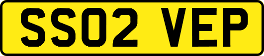 SS02VEP