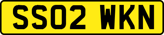 SS02WKN