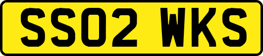 SS02WKS