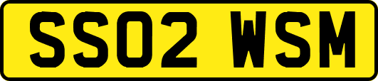 SS02WSM