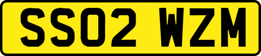 SS02WZM