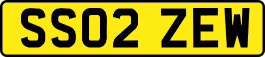 SS02ZEW