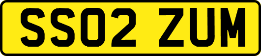 SS02ZUM