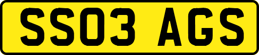SS03AGS