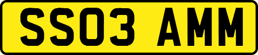 SS03AMM