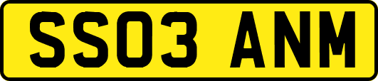 SS03ANM