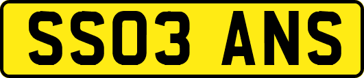 SS03ANS