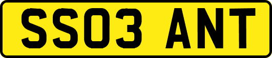 SS03ANT
