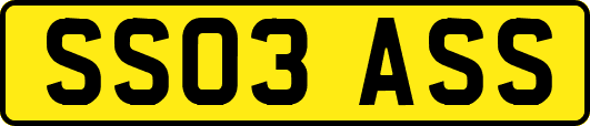 SS03ASS