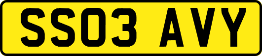 SS03AVY