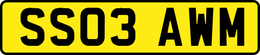 SS03AWM