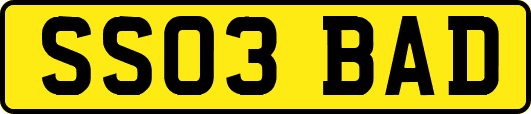 SS03BAD