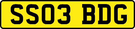 SS03BDG