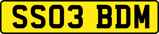 SS03BDM