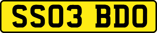 SS03BDO