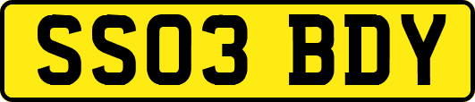 SS03BDY