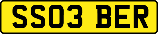 SS03BER