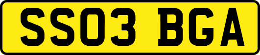 SS03BGA