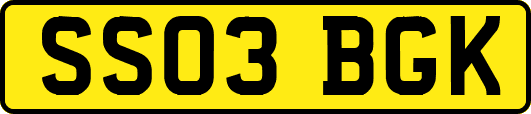 SS03BGK