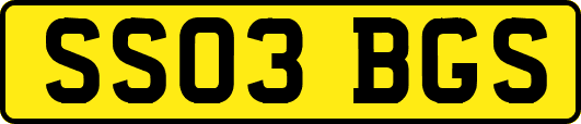 SS03BGS