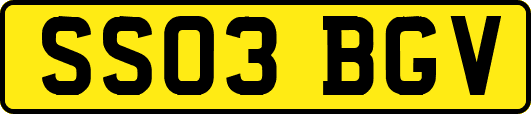 SS03BGV