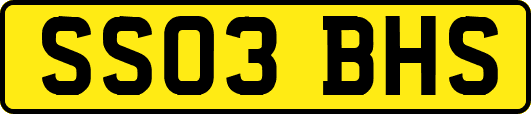 SS03BHS