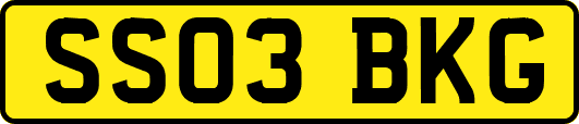 SS03BKG