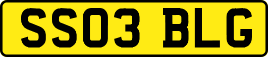 SS03BLG
