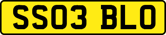 SS03BLO