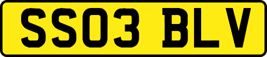 SS03BLV