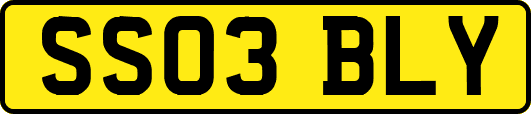 SS03BLY