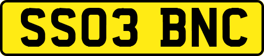 SS03BNC