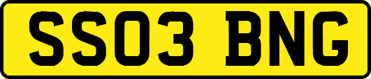 SS03BNG