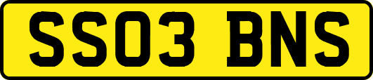 SS03BNS