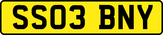SS03BNY
