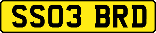 SS03BRD