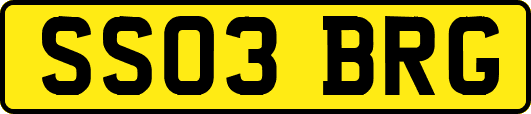 SS03BRG