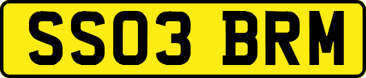 SS03BRM