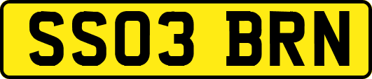SS03BRN