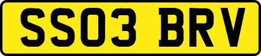 SS03BRV
