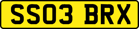 SS03BRX