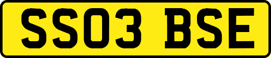 SS03BSE